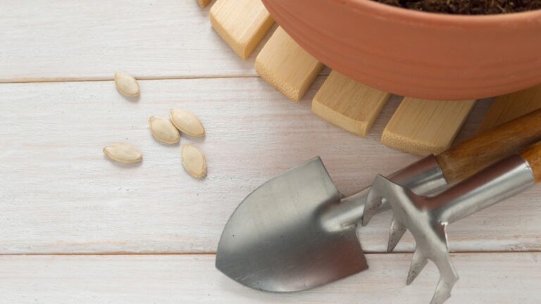 Preparation for planting seeds with mini shovel and rake near the pot