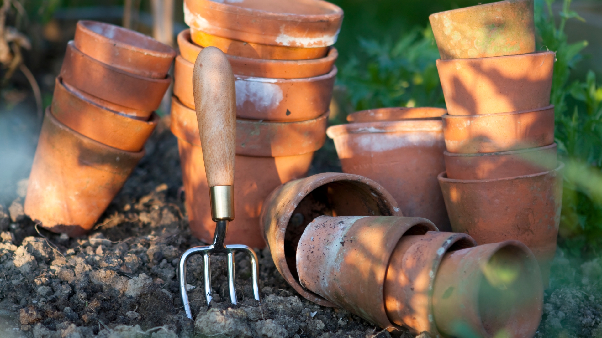 terracotta planters