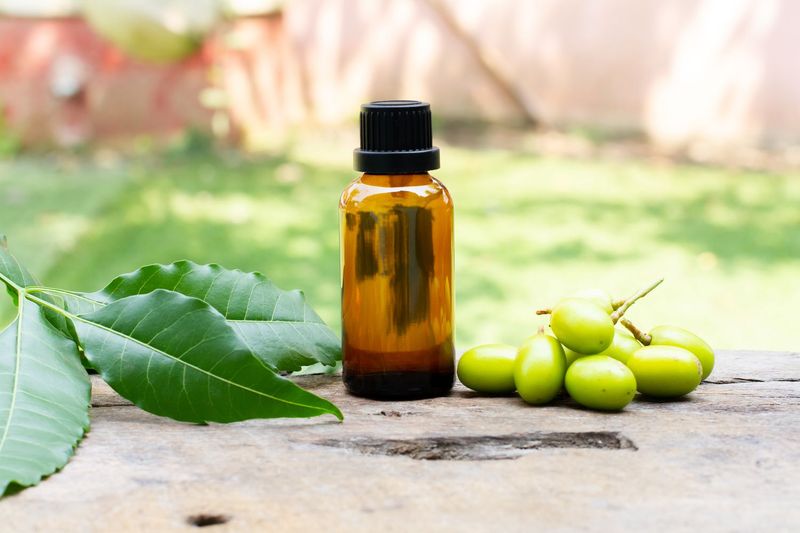 Neem Oil Spray