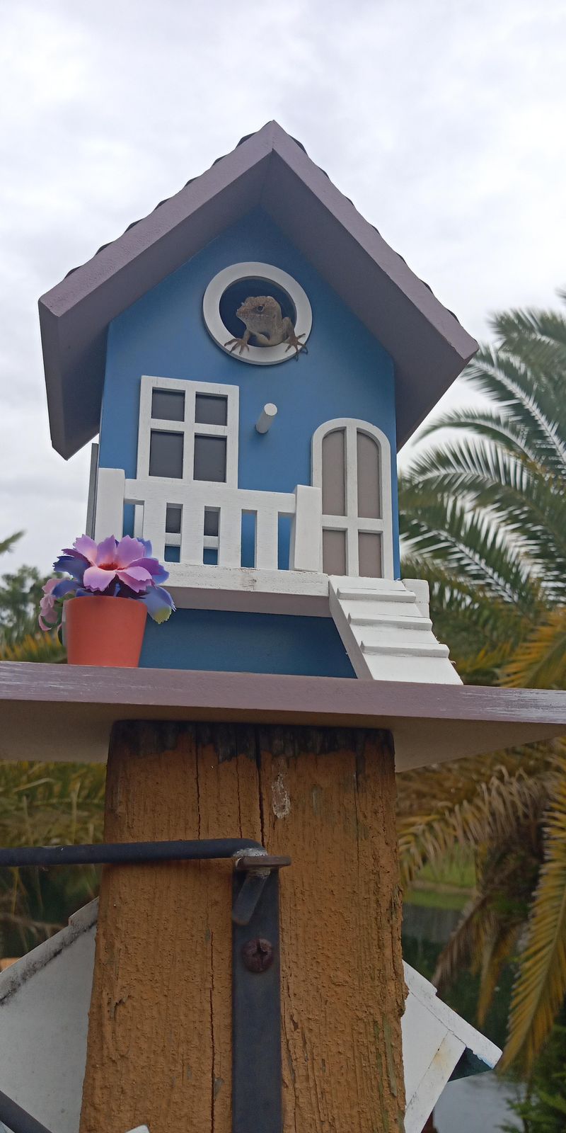 Place The Birdhouse In A Quiet, Sheltered Area