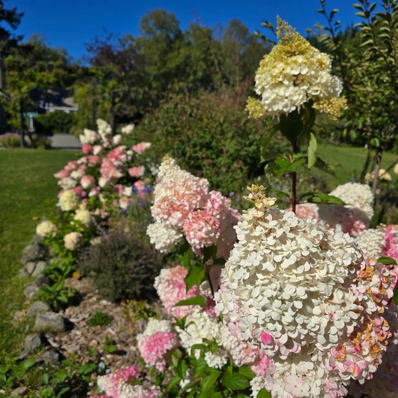 The Mulch and Moisture Myth