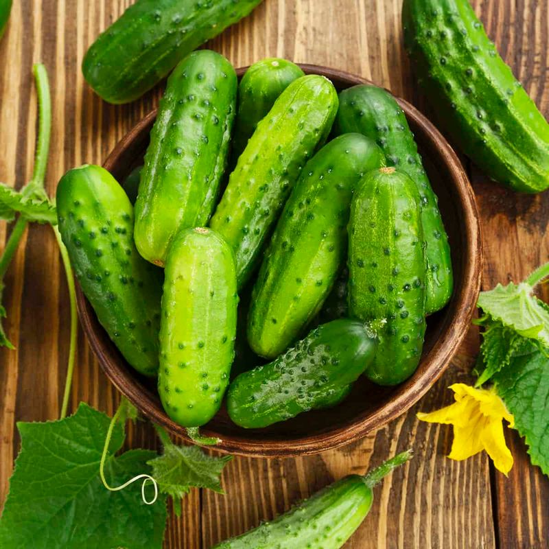 Cucumbers