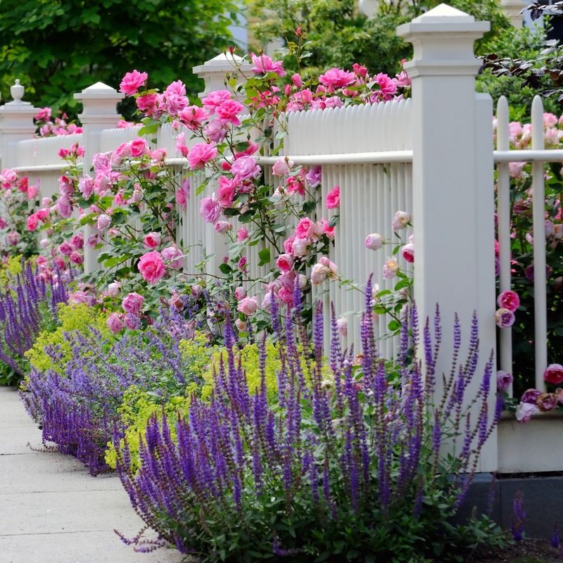 White Picket Fence Bed