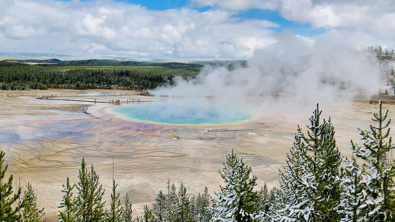 USA For Yellowstone’s Geothermal Flora