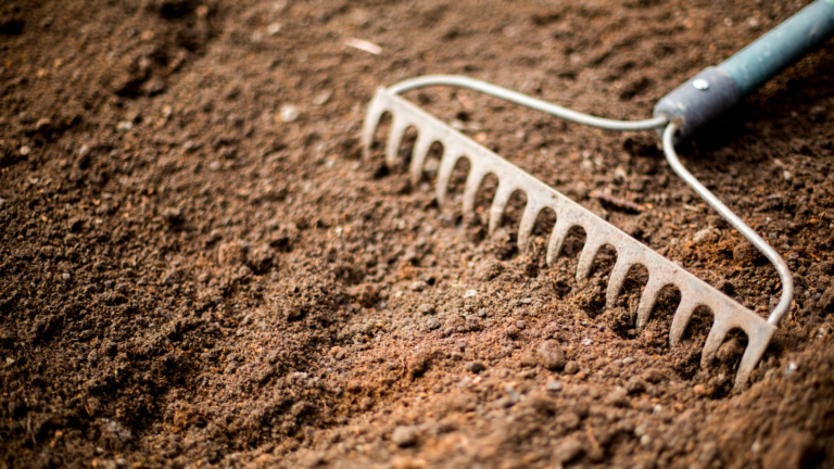 Preparing Your Soil For A Successful Spring Garden (20 Ways To Prepare It)