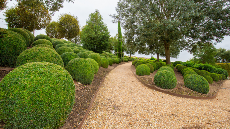 20 Landscaping Ideas For Using Boxwood Plants For Backyard Privacy (Plus Few Ideas That Require Extra Effort)