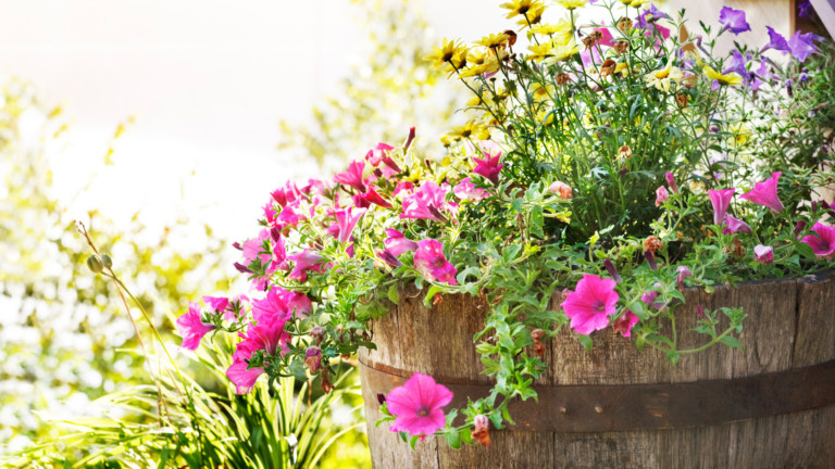 20 Ways To Make Your Own Butterfly Planters (Plus What To Avoid)