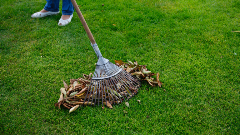 20 Things People With Tidy Gardens Always Do (And What They Avoid)