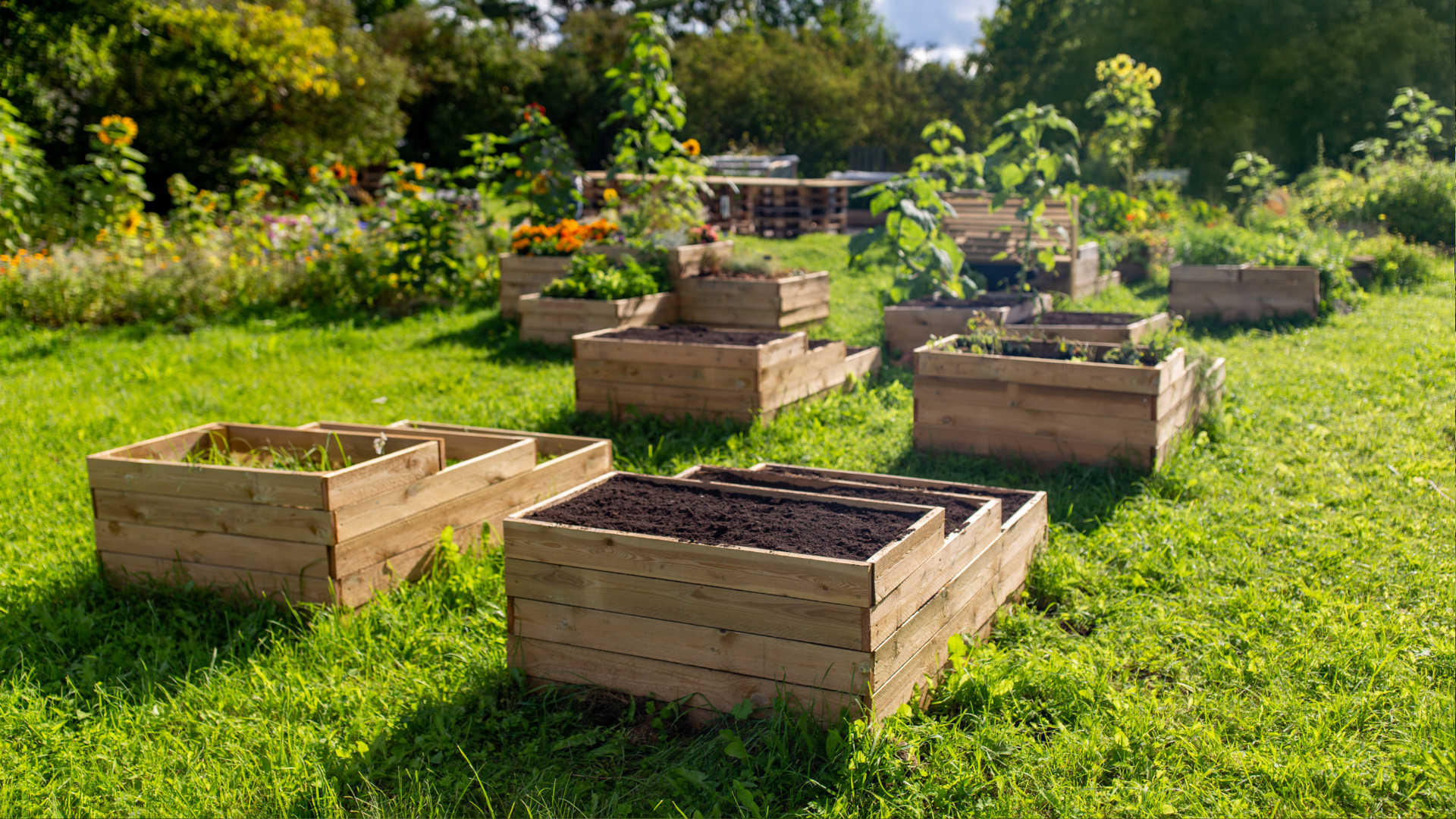 30 Plants Never To Grow In A Raised Bed (What To Plant Instead)