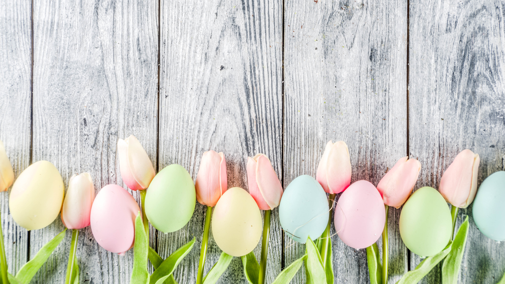 30 Easter Blooms (The Symbolic Meanings Behind Spring’s Favorite Flowers)