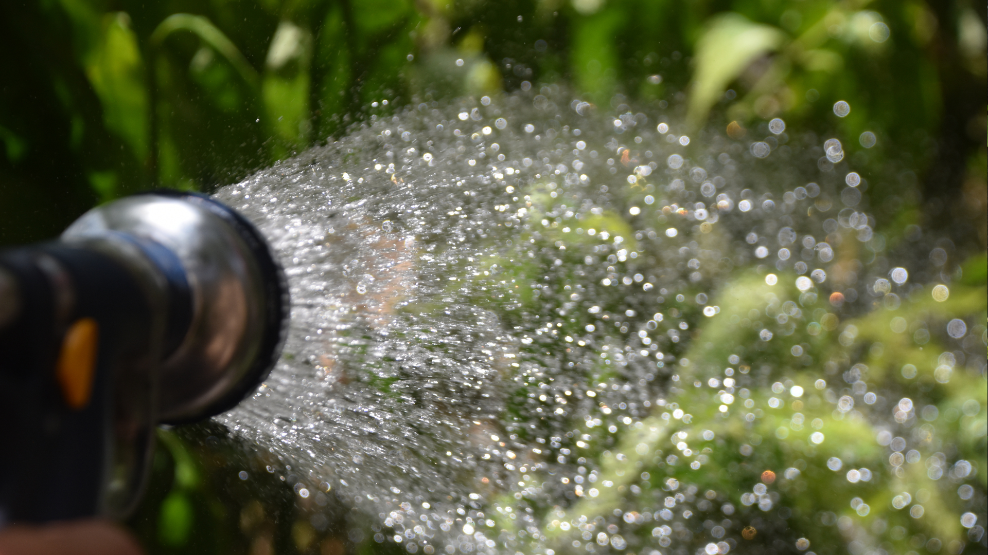 20 Gardening Tips To Make Watering Plants Easier