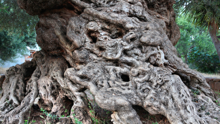 Dissociative identity disorder visual data 7