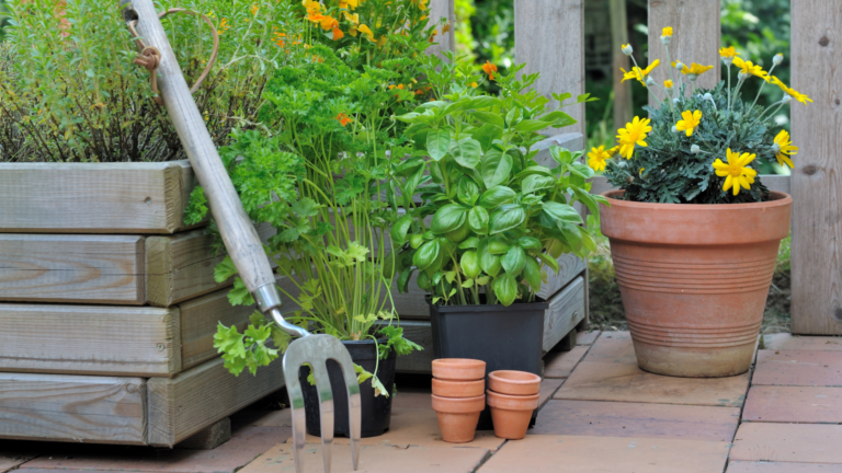 23 Best Herbs To Grow In A Patio Garden (Plus 10 Options That Are Not A Good Fit)