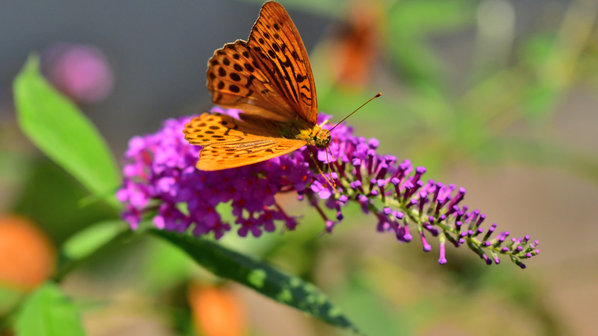 The Best Plants For A Southeastern Garden (And 5 To Leave Out)