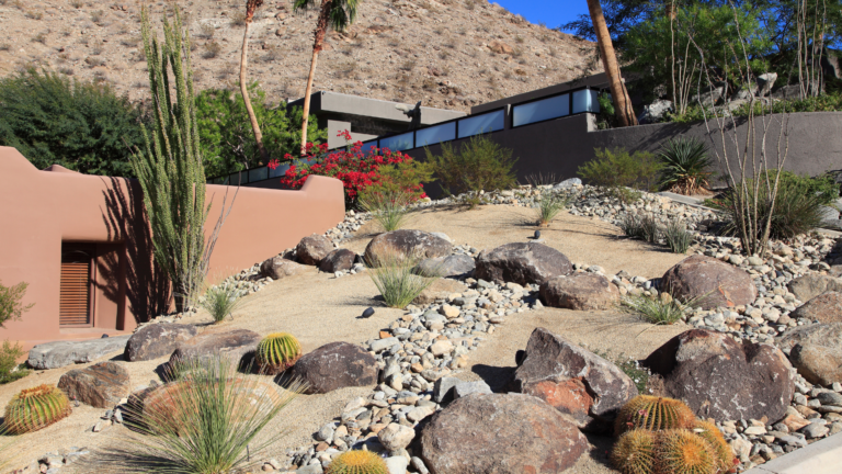 Desert Landscaping Must-Haves (And 5 Plants That Won’t Survive)