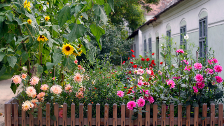 20 Flowers In Grandma’s Yard That Are Worth A Fortune (Plus A Few More Wort Mentioning)
