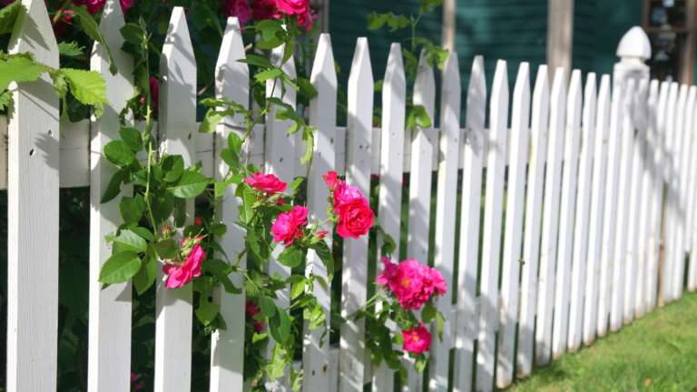 Stunning Ideas to Keep Your Front Yard Away from Prying Eyes (Plus 5 Things To Avoid Doing)