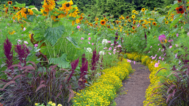 30 Best Plants For A Classic New England Garden Look (Plus 10 Plants Not To Use)