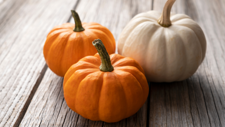 Over 20 Fun Gourd And Pumpkin Facts (You Haven’t Heard About Them Yet)