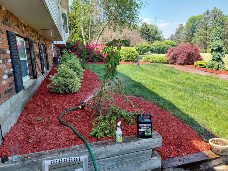 Replace Colored Mulch When It Fades