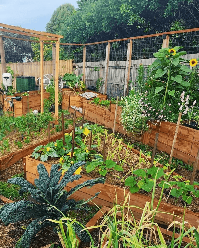 Set Up a Raised Garden Bed