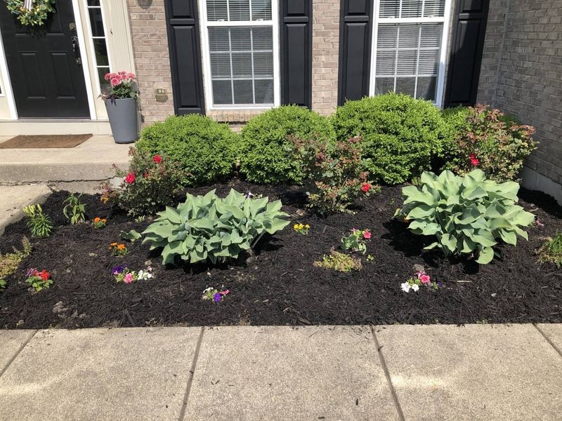 Add Weed Barriers Under Mulch