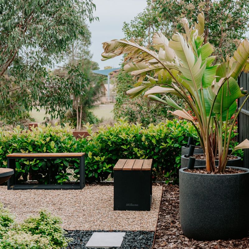 Plant Windbreaks