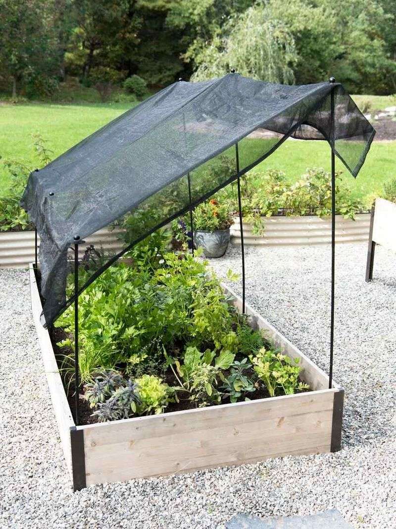 Add Shade Structures for Sun-Sensitive Plants