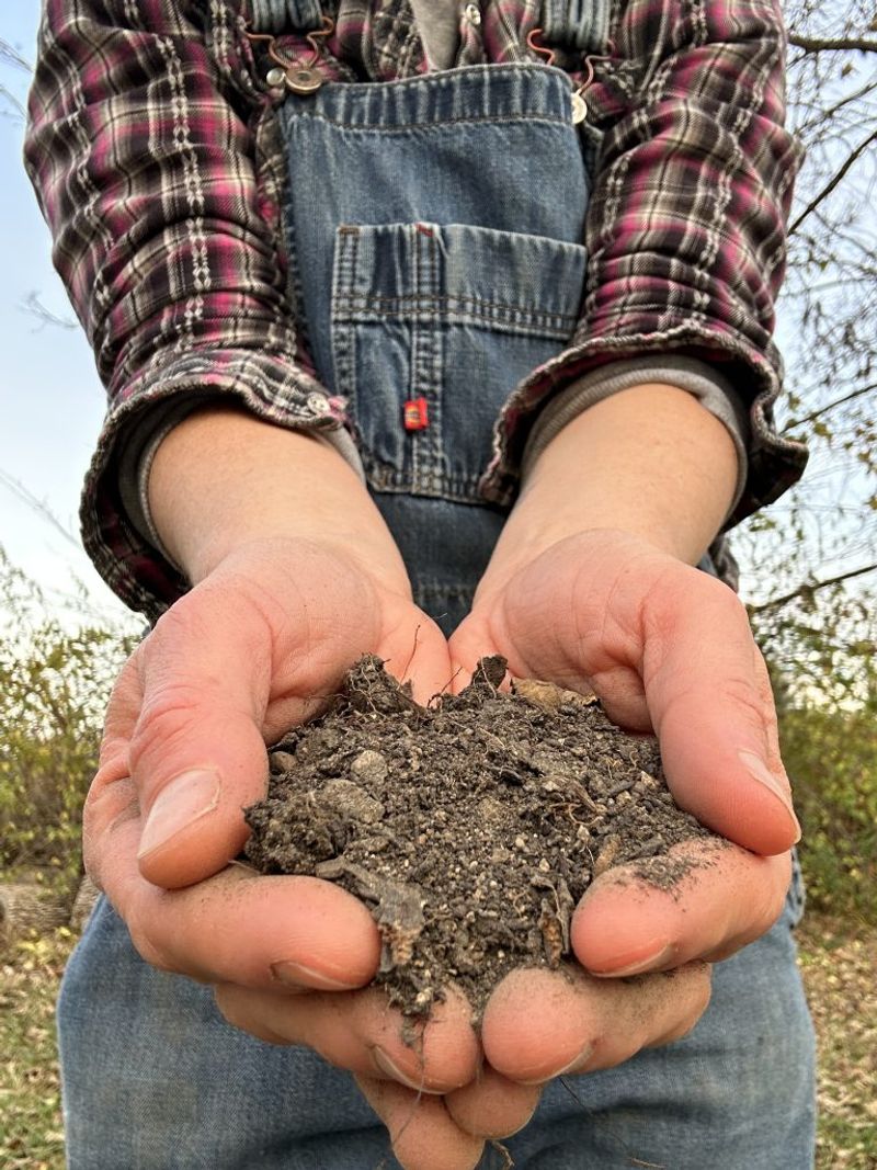 Invest in Good-Quality Soil