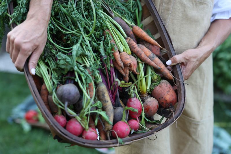 Give Root Crops Enough Room