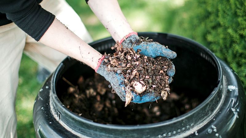 Add Manure to Speed Up the Process