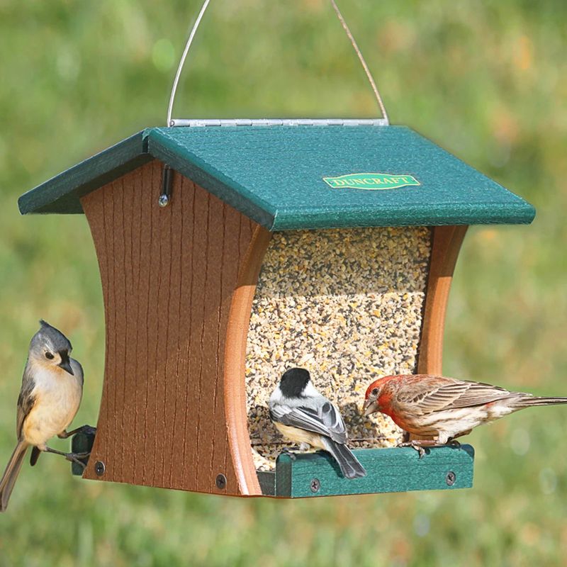 Opt for feeders with limited perching space