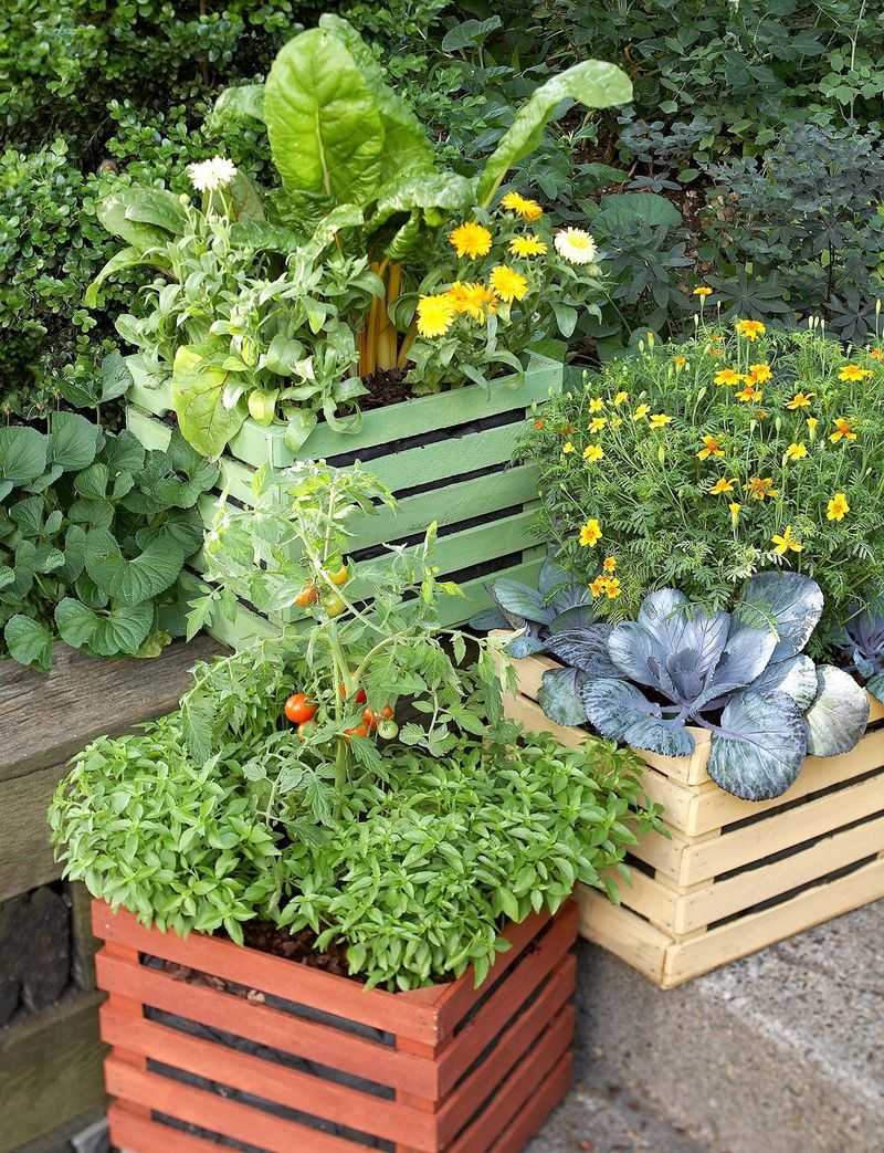 Set up a vegetable container garden