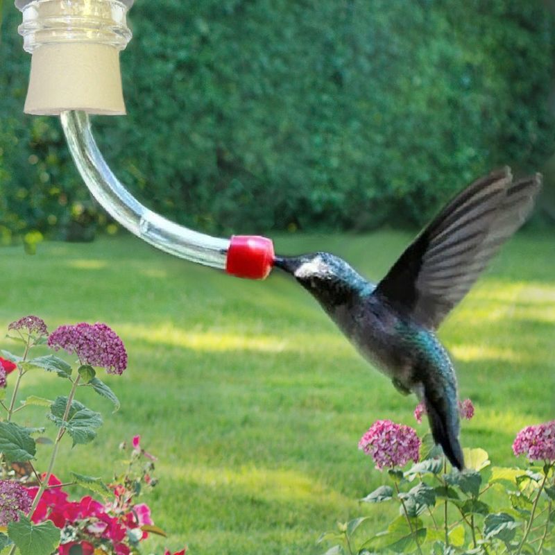 Hang DIY hummingbird feeders