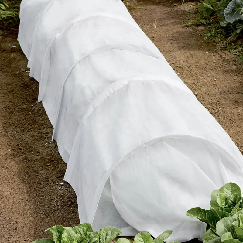 Protect herbs from frost with row covers