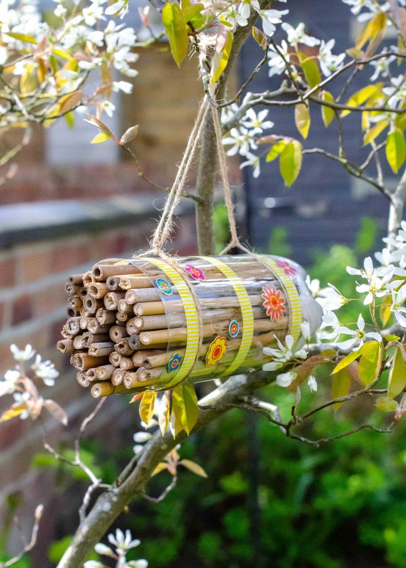 Create a DIY bee house for pollinators