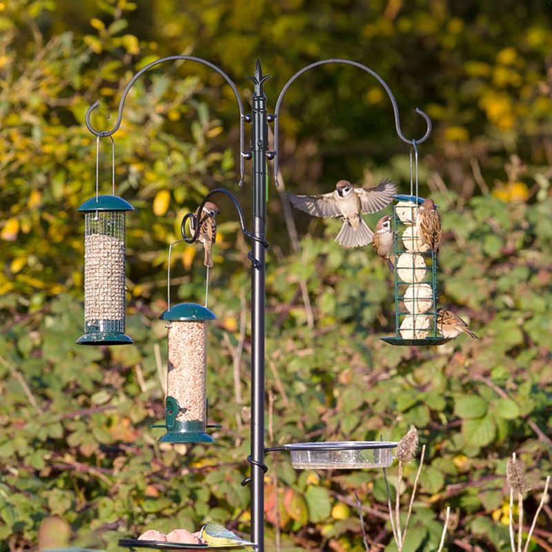 Hang multiple feeders for competition