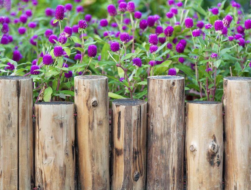 Place logs or branches as a rustic edge