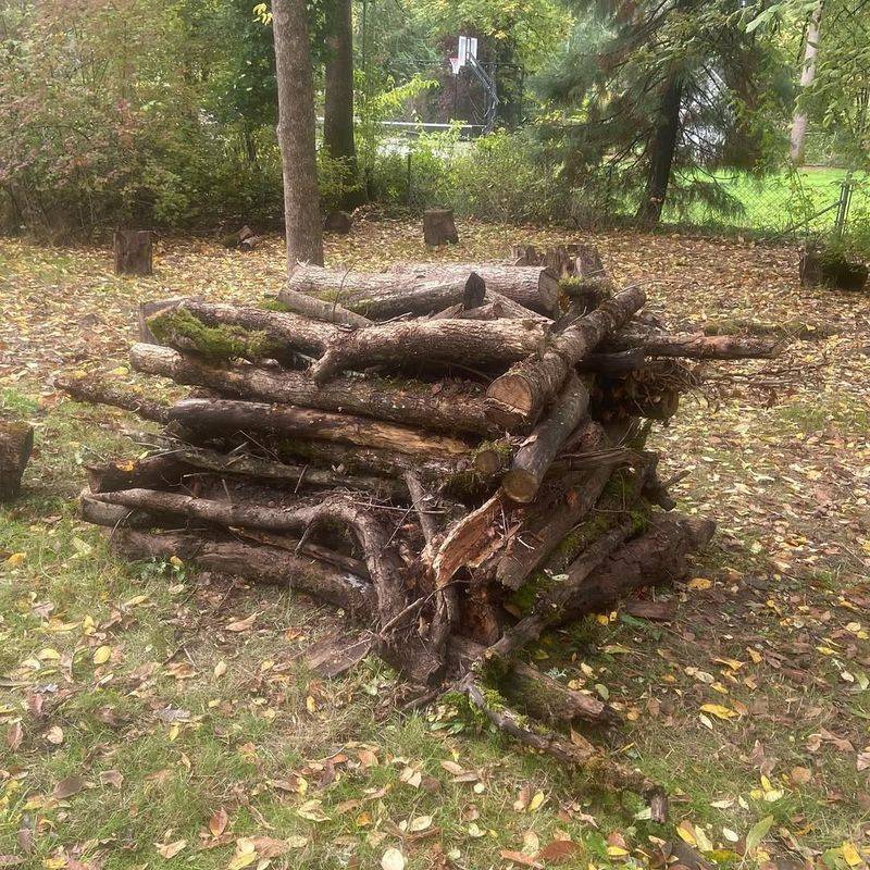 Creating Log Piles