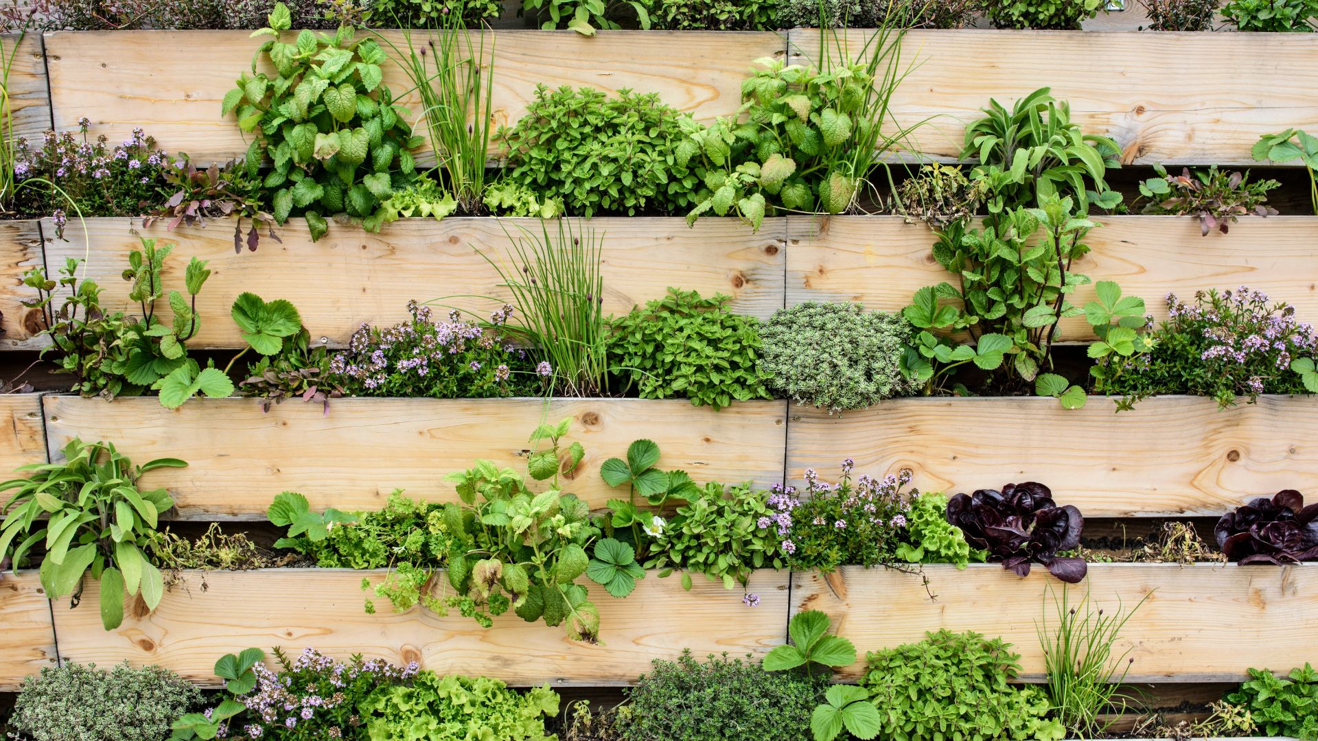 Vertical garden