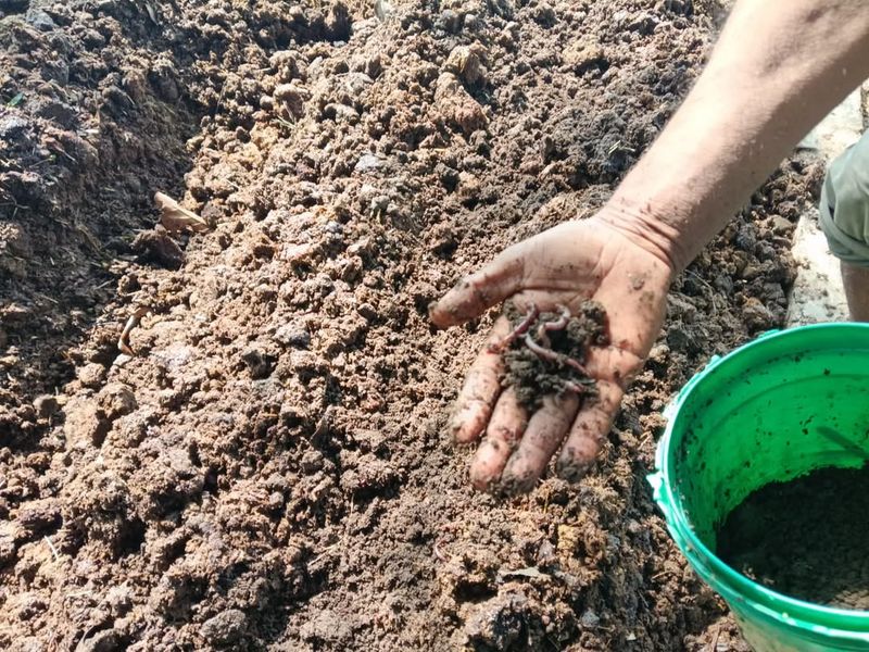 Composting for Fertility