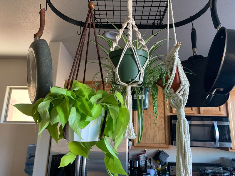 Overhead Pot Rack