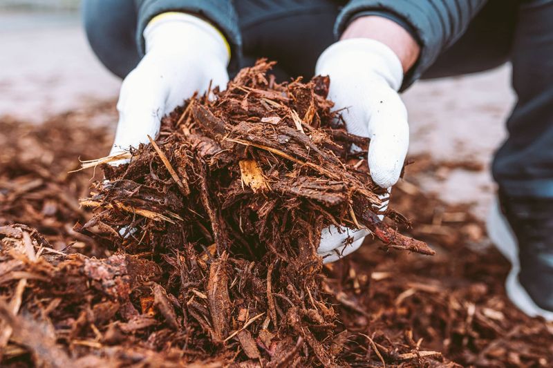 Adjust Mulch Thickness Based On Weather