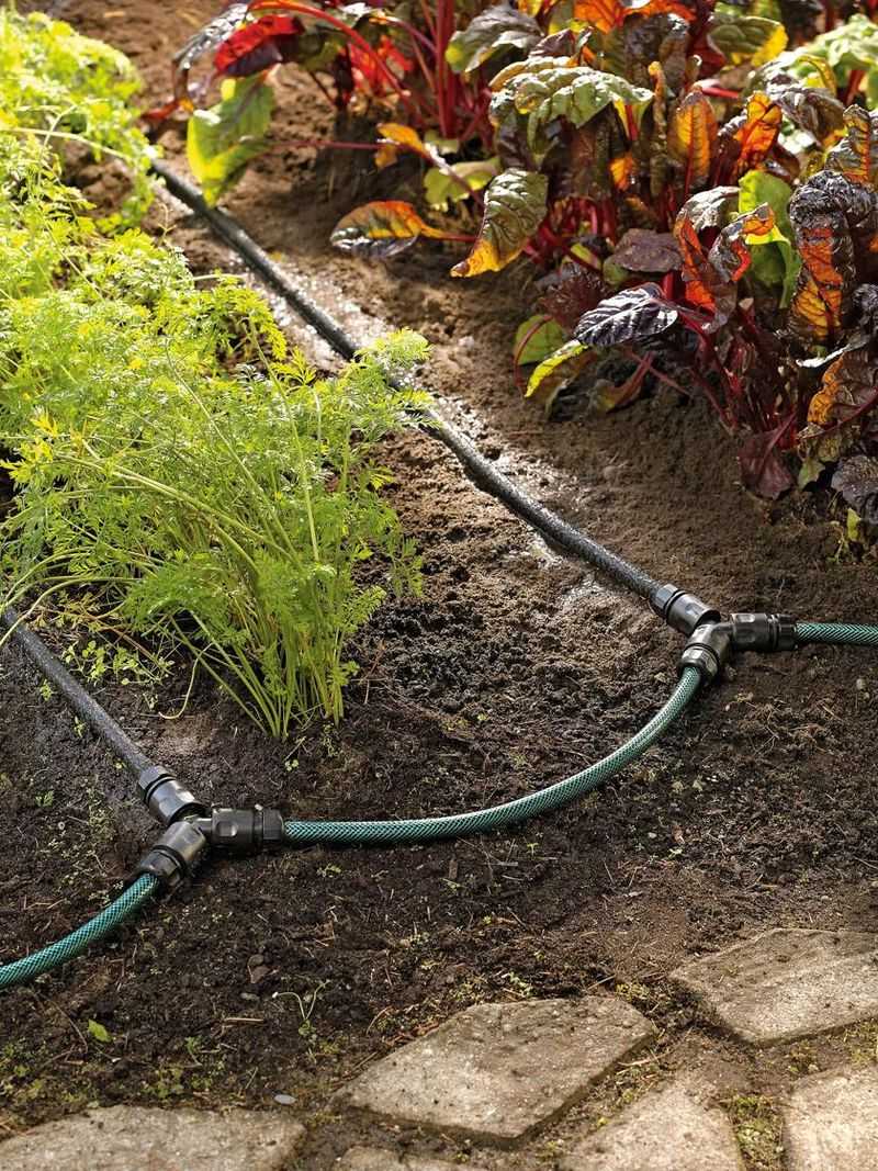 Drip Irrigation System