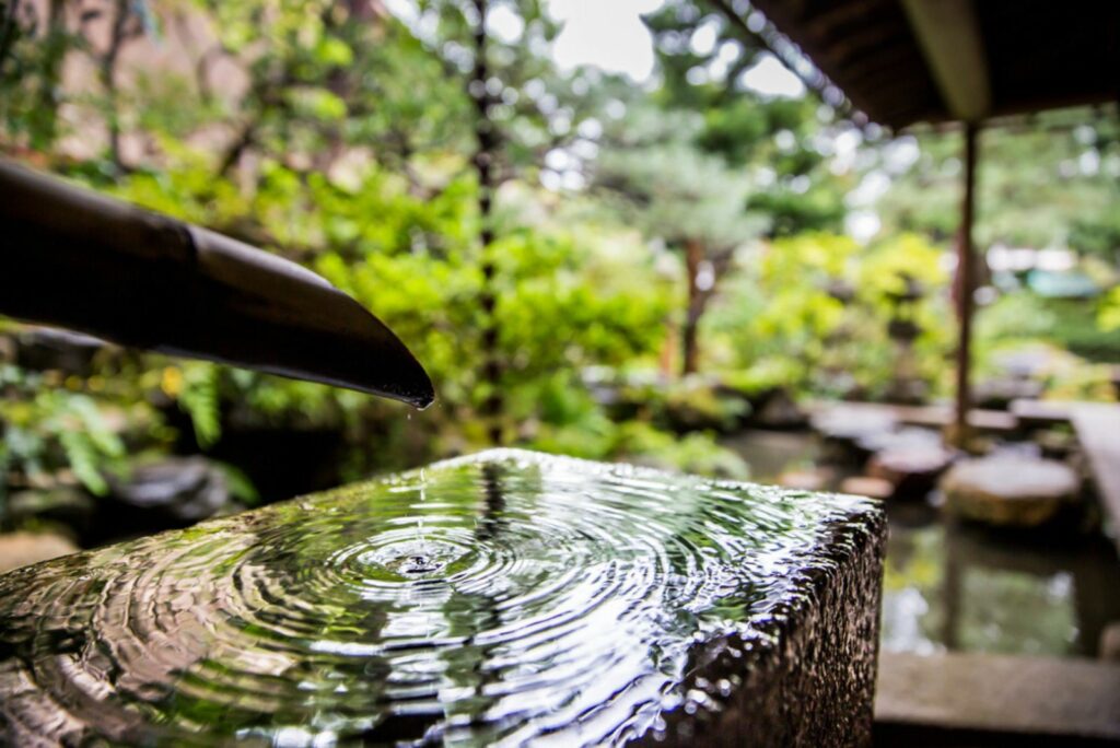 Water Feature in garden 