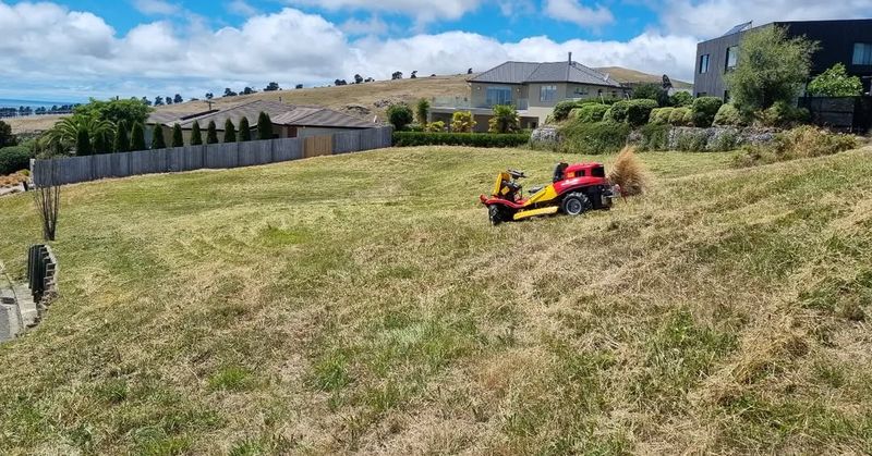 Signs That Your Lawn Needs Leveling