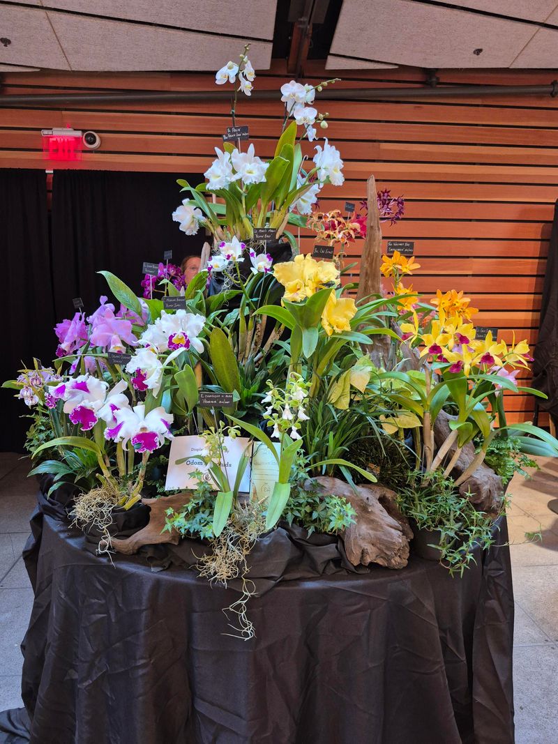 Artful Ikebana Displays