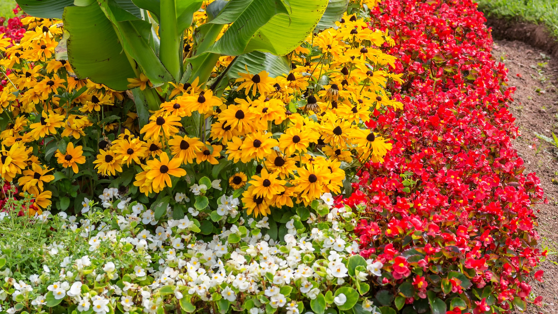 flower bed