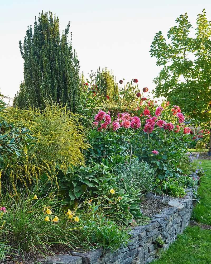 Mixed Plant Borders