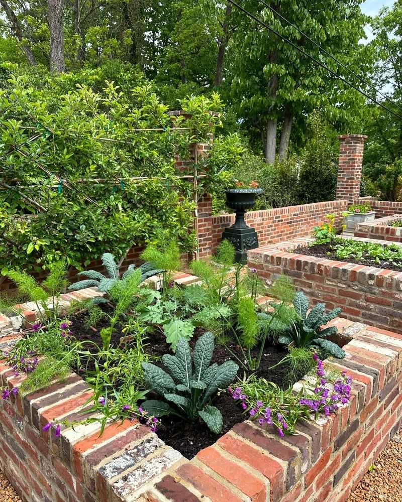 Raised Brick Beds